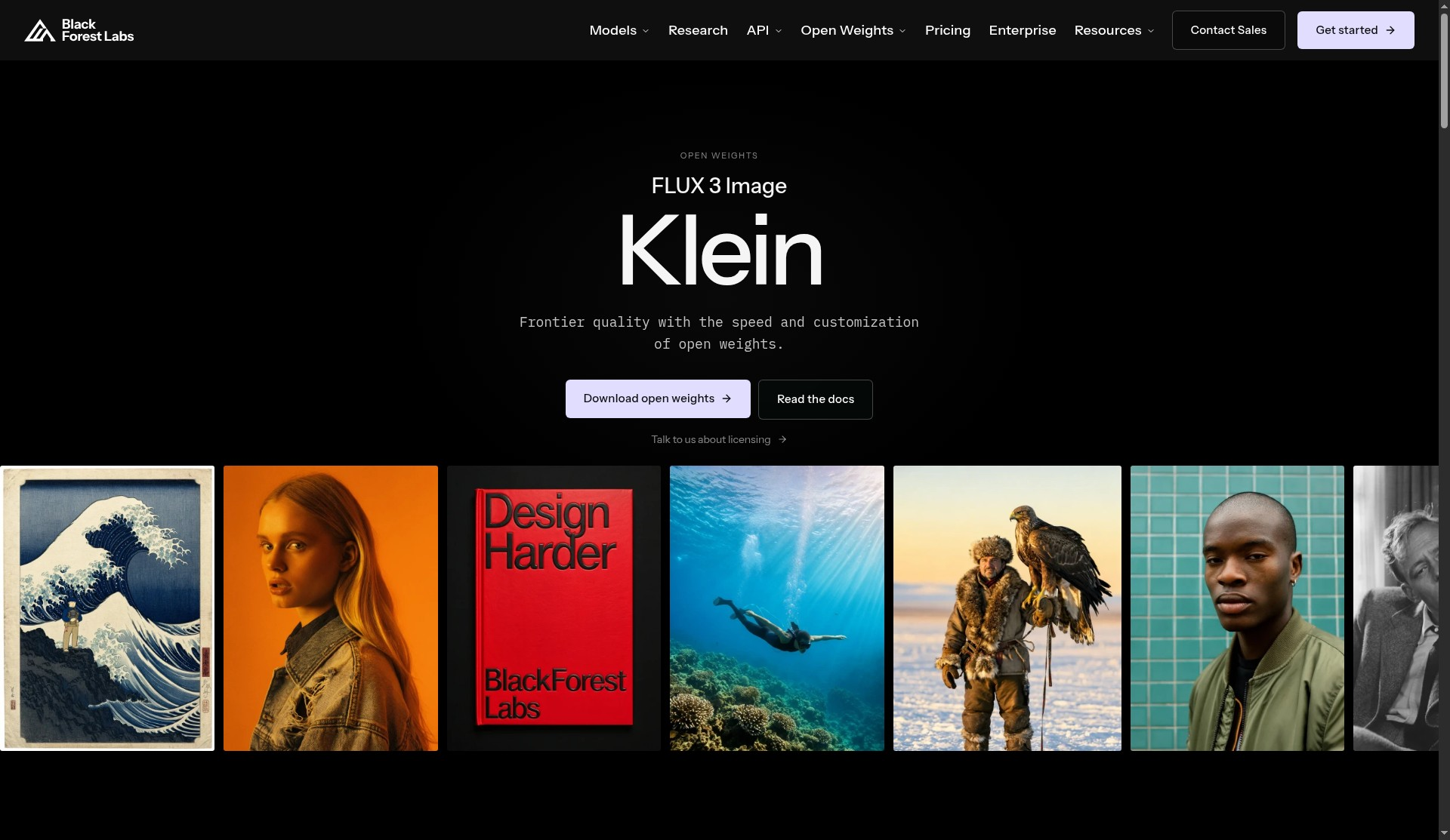 FLUX 3 Image Klein product visual from Black Forest Labs official site
